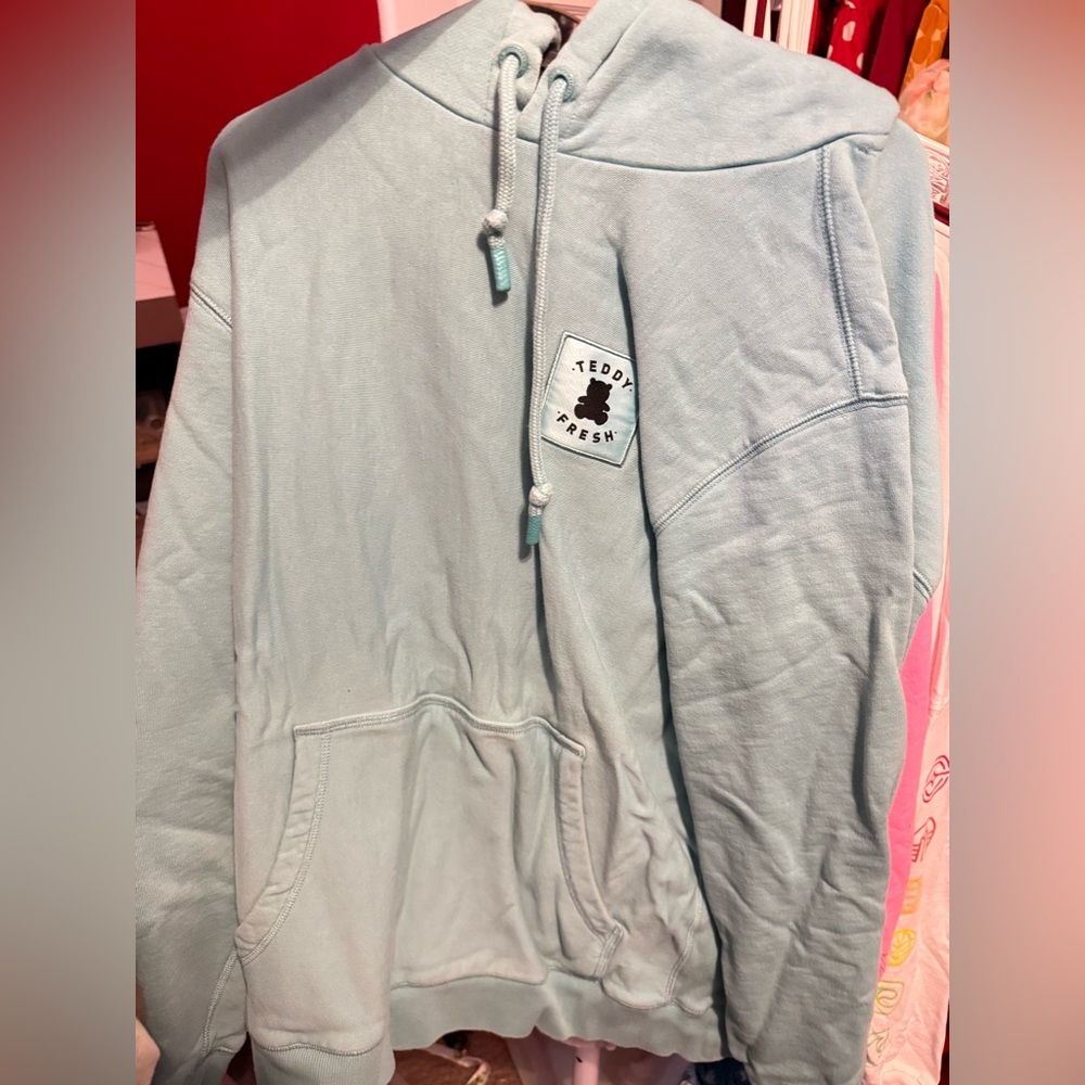 Teddy Fresh Solid Color Fleece Hoodie (Teal)